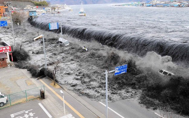 Don't Go Near The Shore | Tsunami Preparedness Tips | What You Should Do When A Tsunami Comes