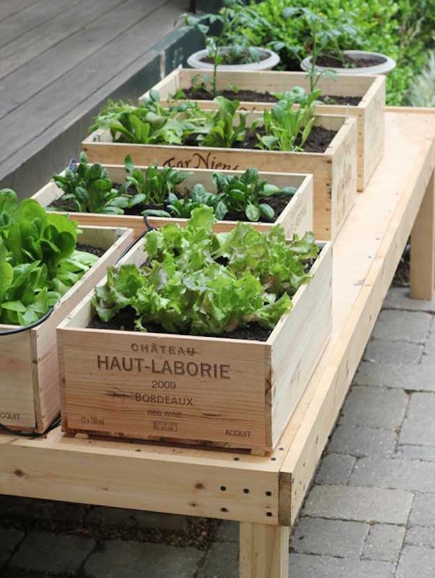 Urban Gardening of Farming Skills | Urban Survival Skills That Could Save Your Life
