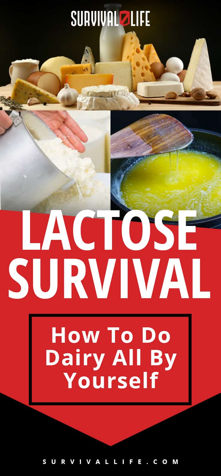 Lactose Survival – How To Do Dairy All By Yourself