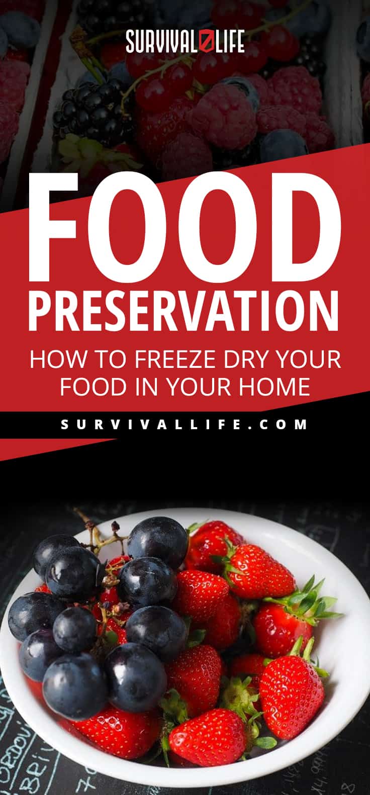 Food Preservation | How To Freeze Dry Your Food In Your Home