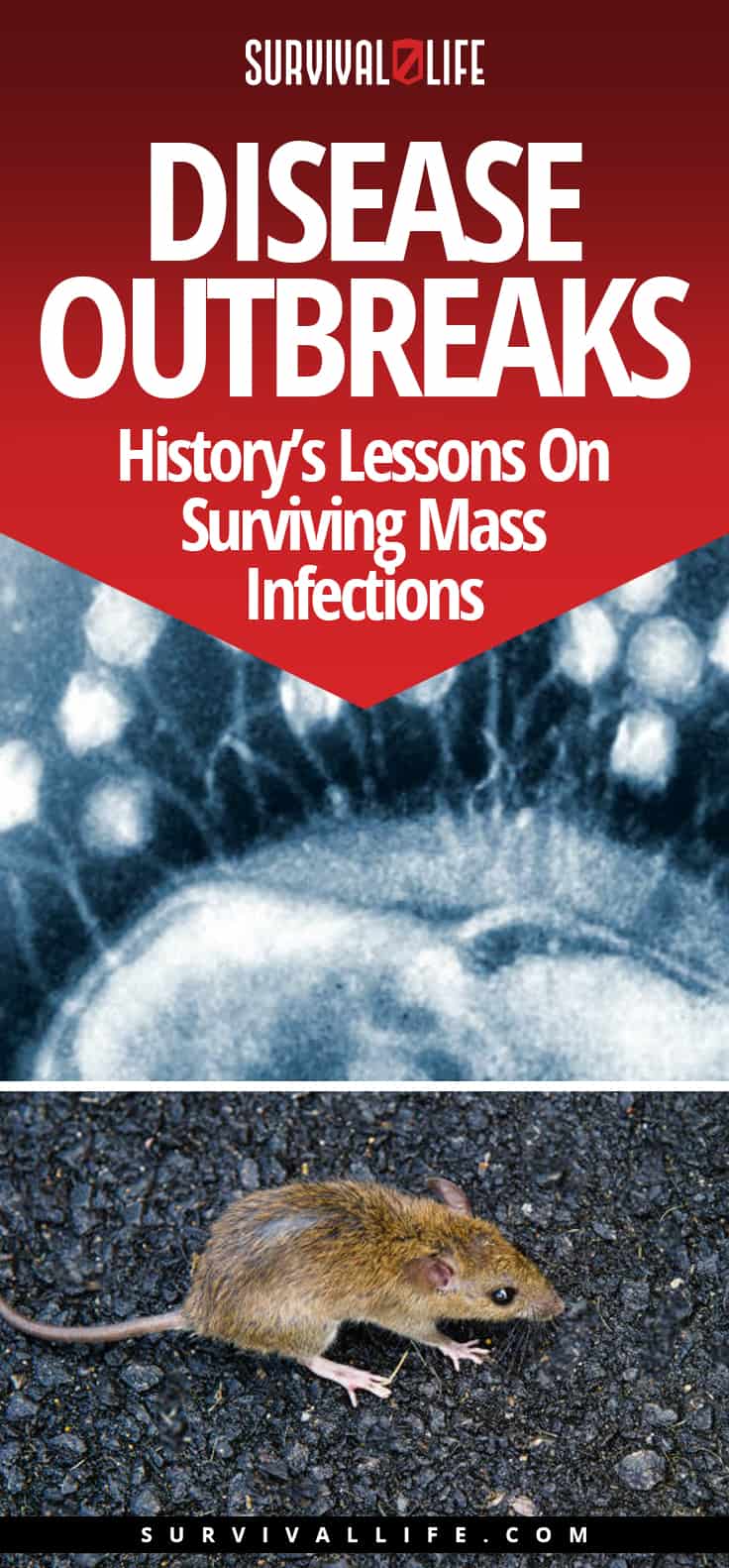 Disease Outbreaks: History’s Lessons On Surviving Mass Infections