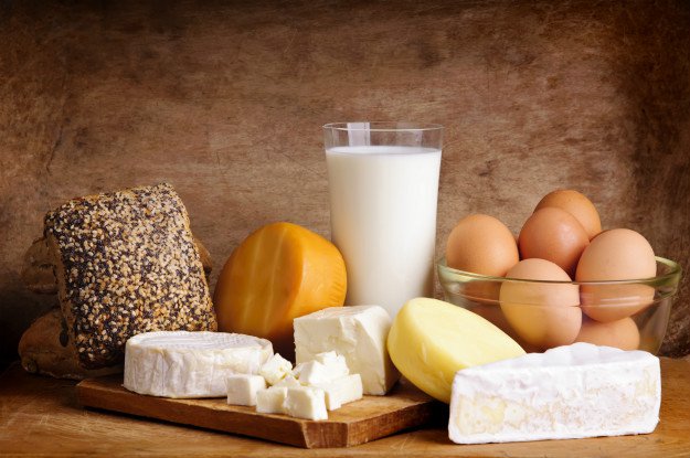 dairy products | Lactose Survival