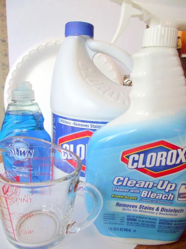 Household Chlorine Bleach | Emergency Survival Kit From Everyday Household Items