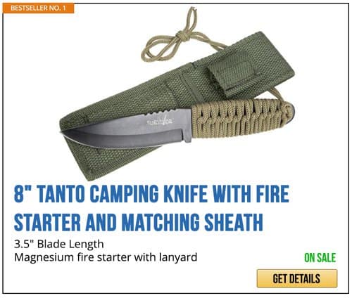 Tanto Knife | Artificial Intelligence Takeover | How Likely It Is And How To Prepare