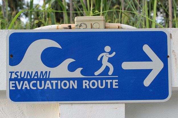 Check out Tsunami Preparedness | Survival Life Tips at https://survivallife.com/tsunami-preparedness/