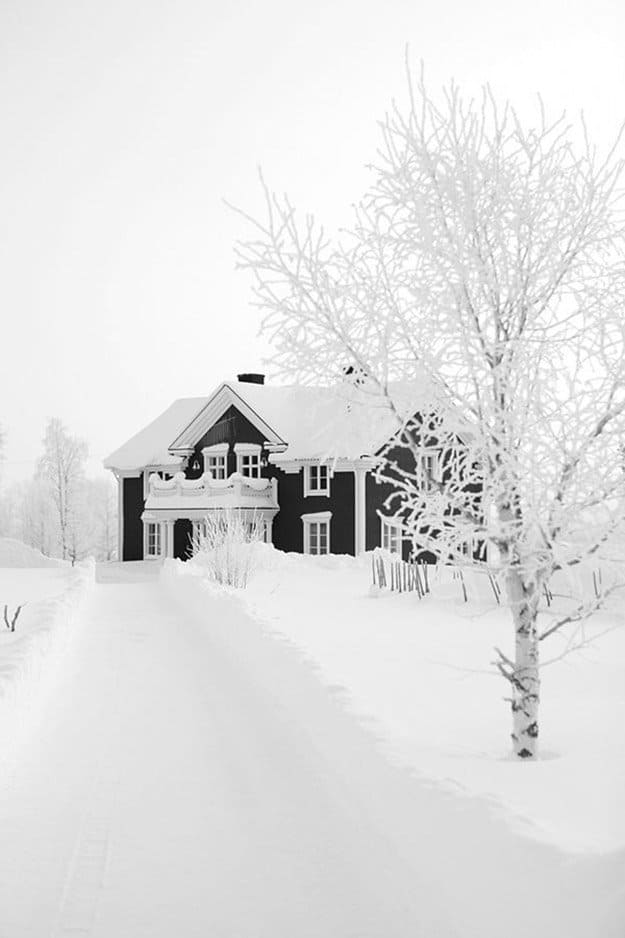 Tips on Survival for your Homestead | Winter Survival Methods To Keep You Warm