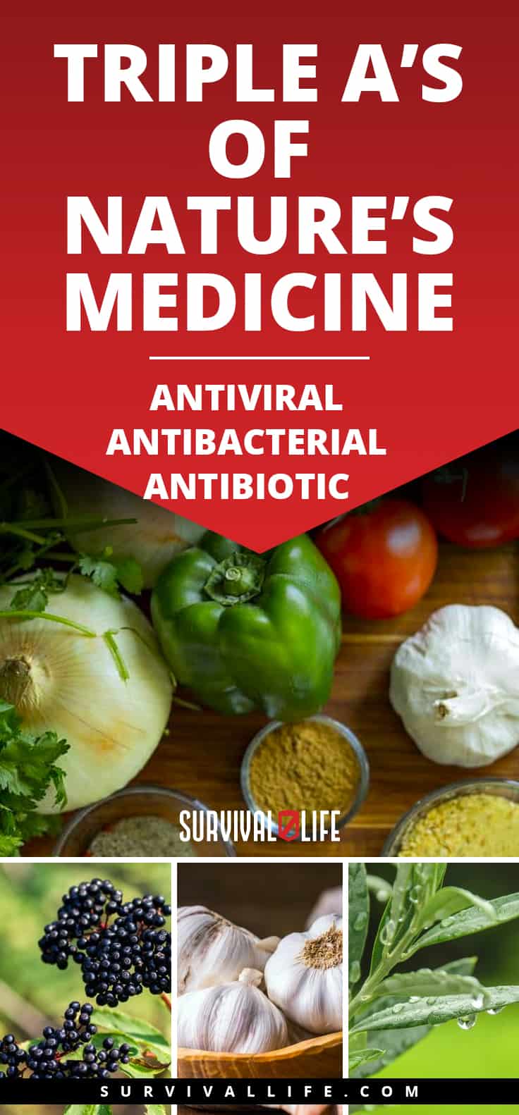 Placard | Triple A’s of Nature’s Medicine: Antiviral ~ Antibacterial ~ Antibiotic