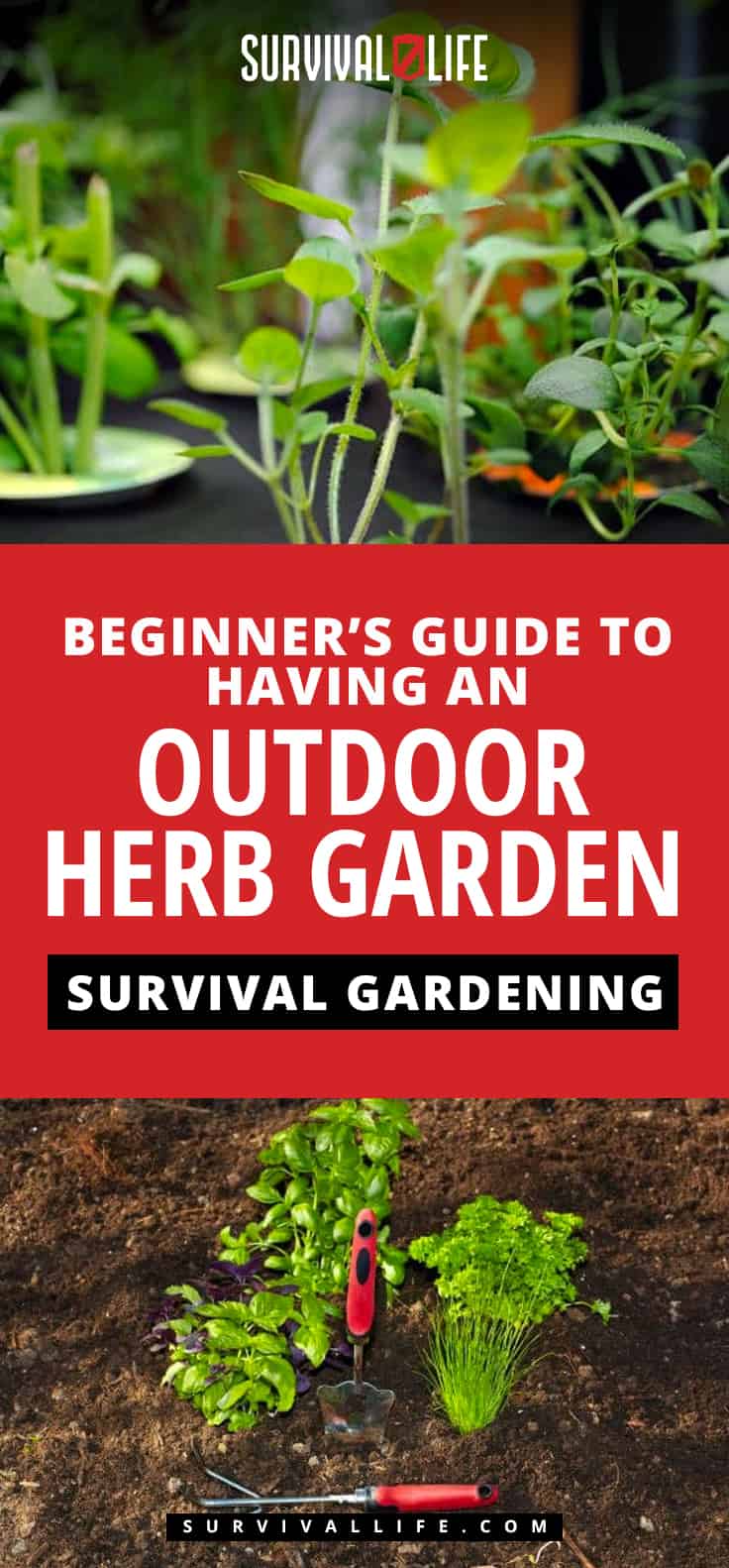 Outdoor Herb Garden | A Beginner’s Guide To Survival Gardening | https://survivallife.com/survival-gardening-outdoor-herb-garden/