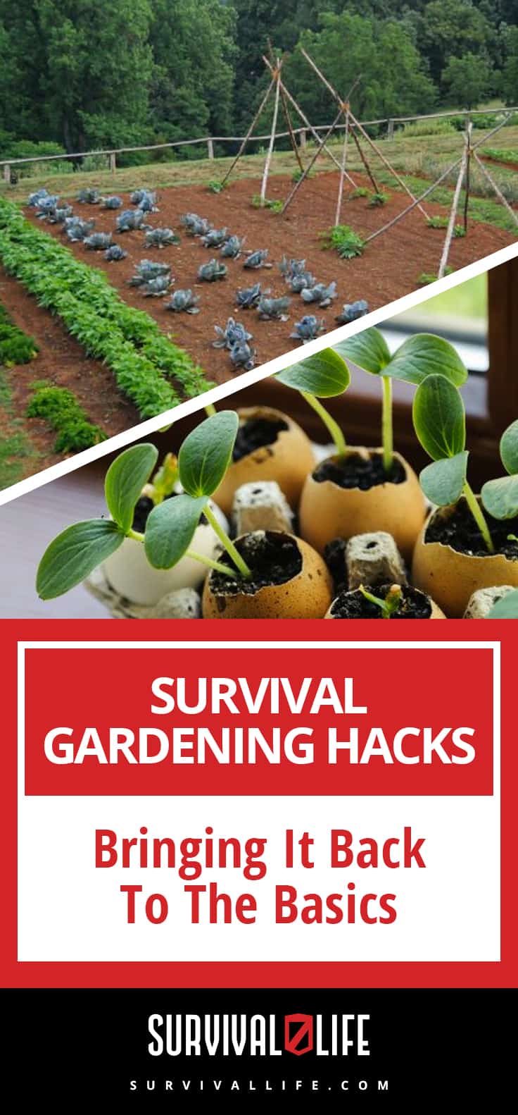 Survival Gardening Hacks | Bringing It Back To The Basics | https://survivallife.com/survival-gardening-hacks-basics/
