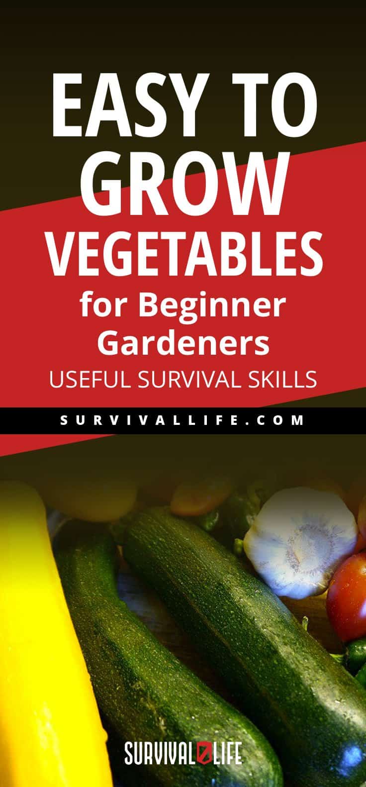 Easy To Grow Vegetables For Beginner Gardeners | Useful Survival Skills