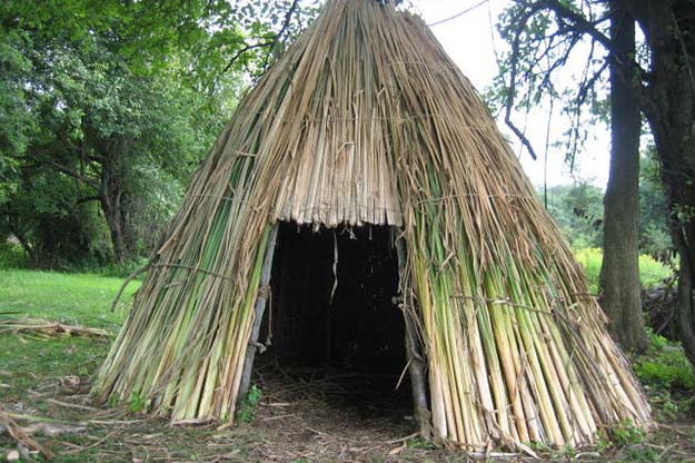 Shelters | Cattails Survival Uses 
