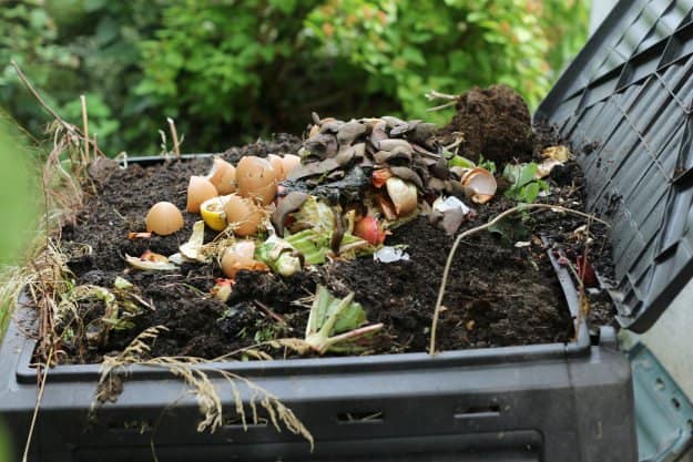composting | Composting For Beginners
