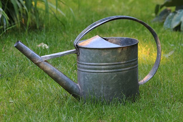 Watering Can | 50 Easter Egg Hiding Spots