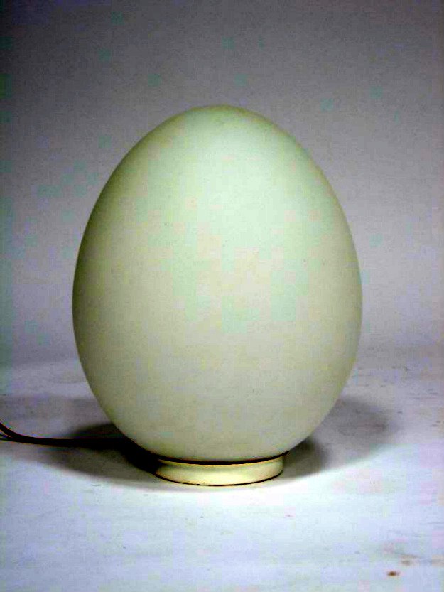 An Empty Light Socket | 50 Easter Egg Hiding Spots