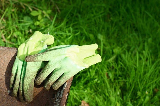 Gardening Glove | 50 Easter Egg Hiding Spots