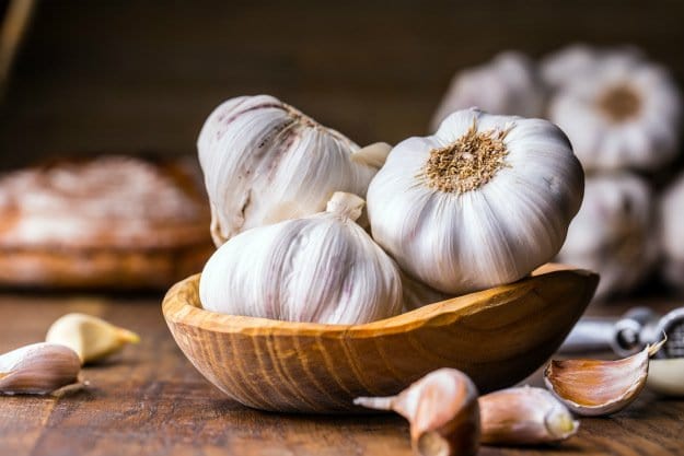 Garlic | Triple A’s of Nature’s Medicine: Antiviral ~ Antibacterial ~ Antibiotic