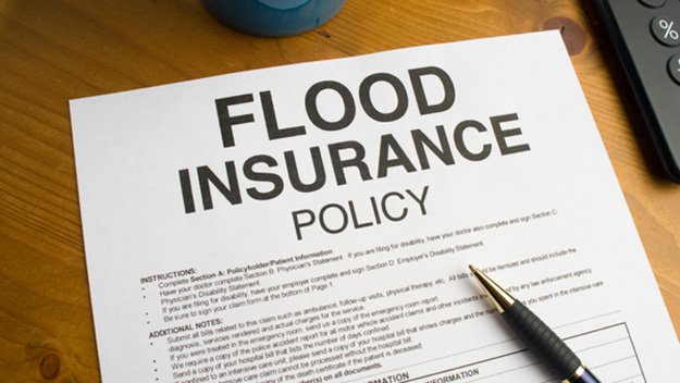  Buy Flood Insurance | 8 Levee Failure Survival Tips