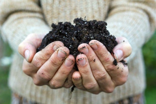 hand with soil | Composting For Beginners