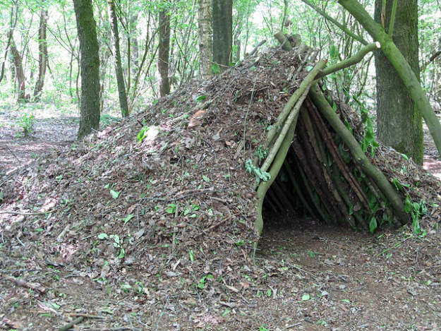A Debris Shelter | 14 Survival Shelters You Can Build For Any Situation