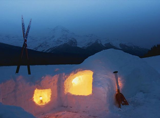 A Snow Shelter | 14 Survival Shelters You Can Build For Any Situation