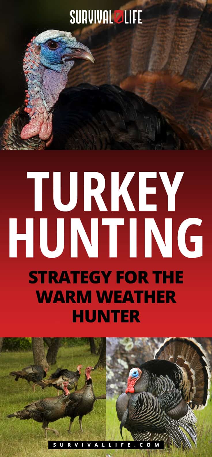 Turkey Hunting Strategy For The Warm Weather Hunter