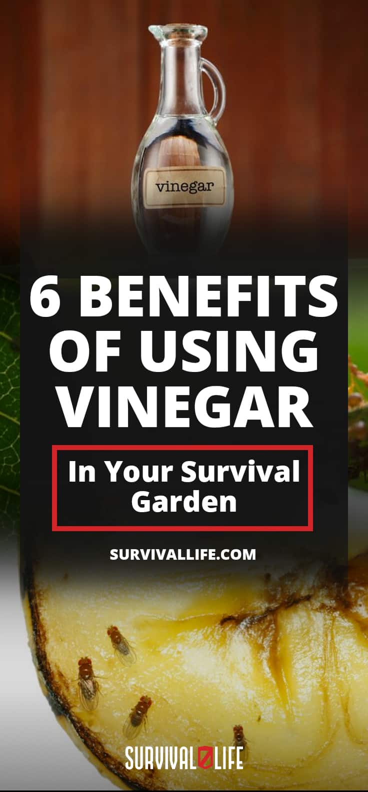 6 Benefits Of Using Vinegar In Your Survival Garden