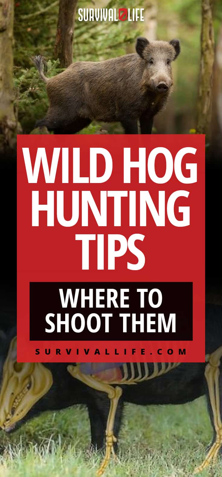 Wild Hog Hunting | Help Your Local Farmers While Bringing Home The Bacon