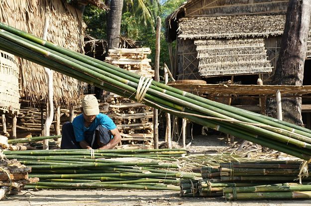 Prepare the materials | How To Build A Bamboo House In The Wild | Survival Life Shelter