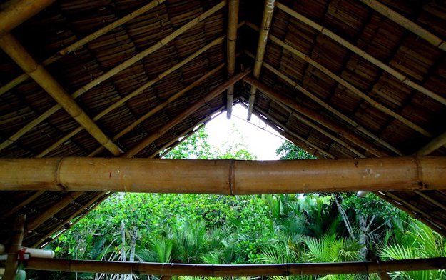 Construct the roof | How To Build A Bamboo House In The Wild | Survival Life Shelter