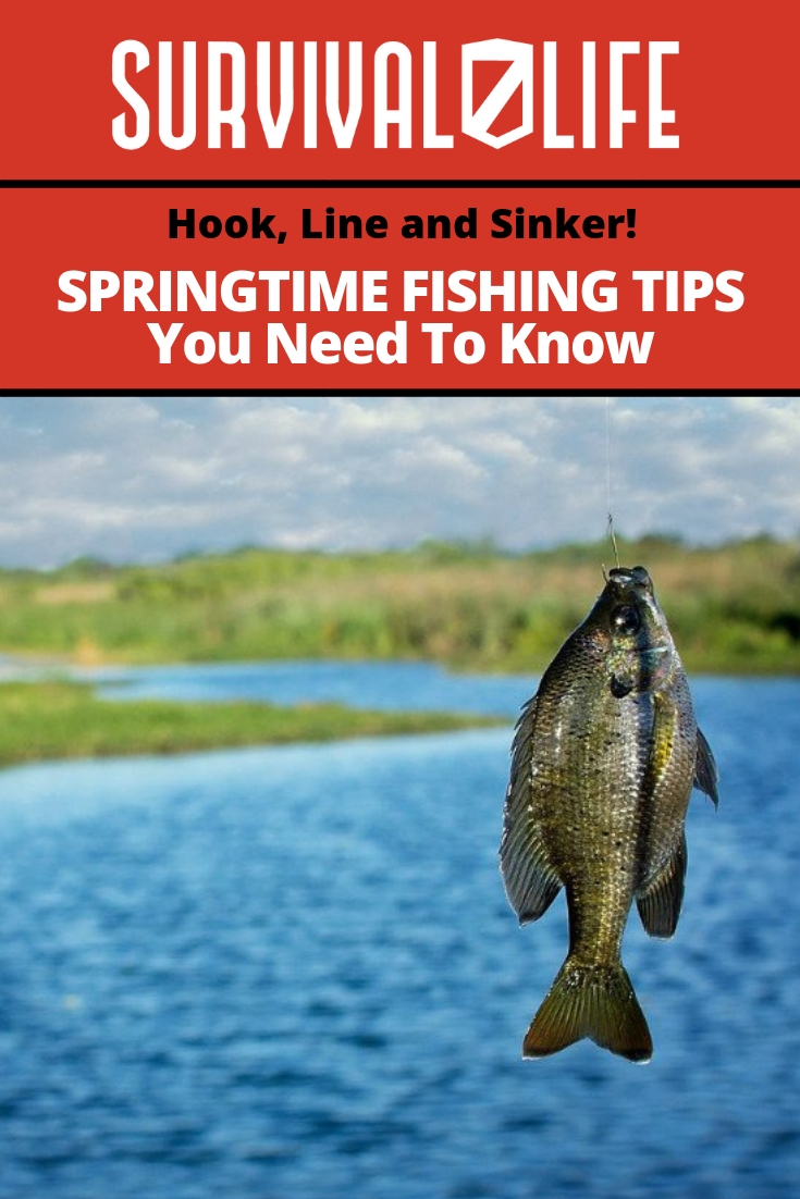 Hook Line and Sinker Springtime Fishing Tips You Need To Know