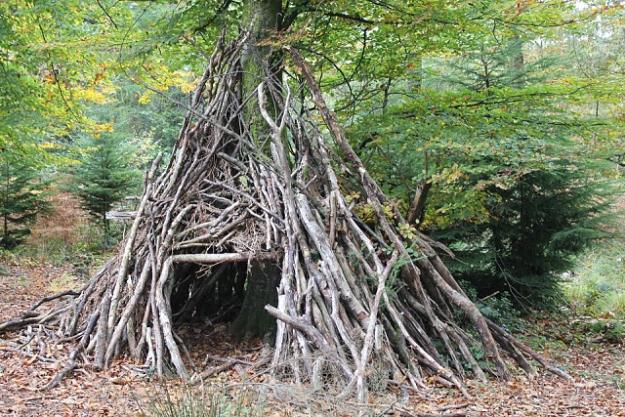 Teepee Survival Shelter | Create Survival Shelters Using Tree Branches | Survival Life