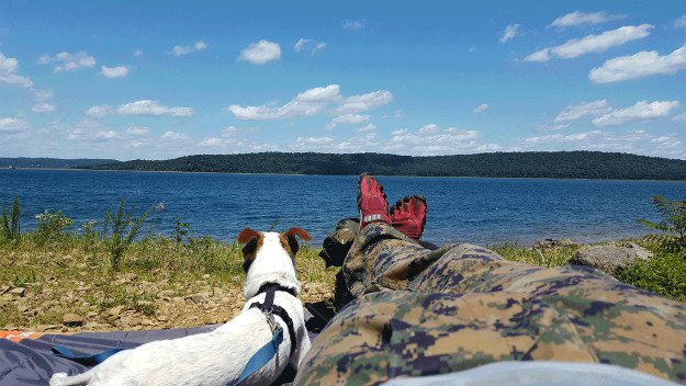 10 Must Have Items You Need When Hiking With Your Dog blanket