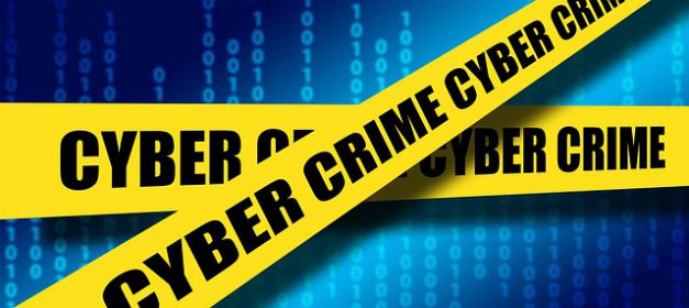 Survival Tips for Cyber Attacks