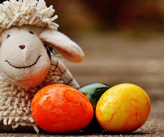 Among Stuffed Animals | 50 Easter Egg Hiding Spots