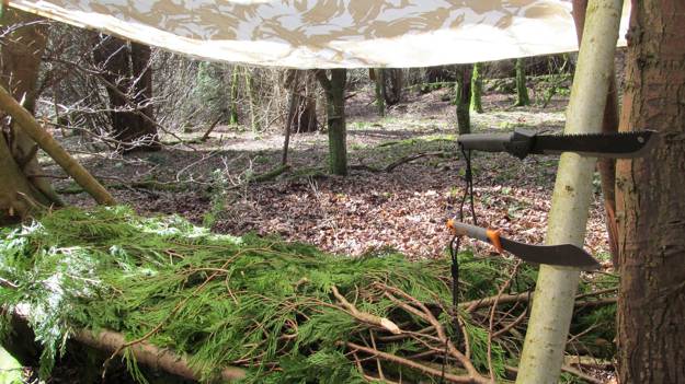 Bedding | Create A Shelter Out of A Juniper Tree for Survival