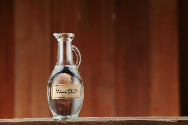 vinegar feat