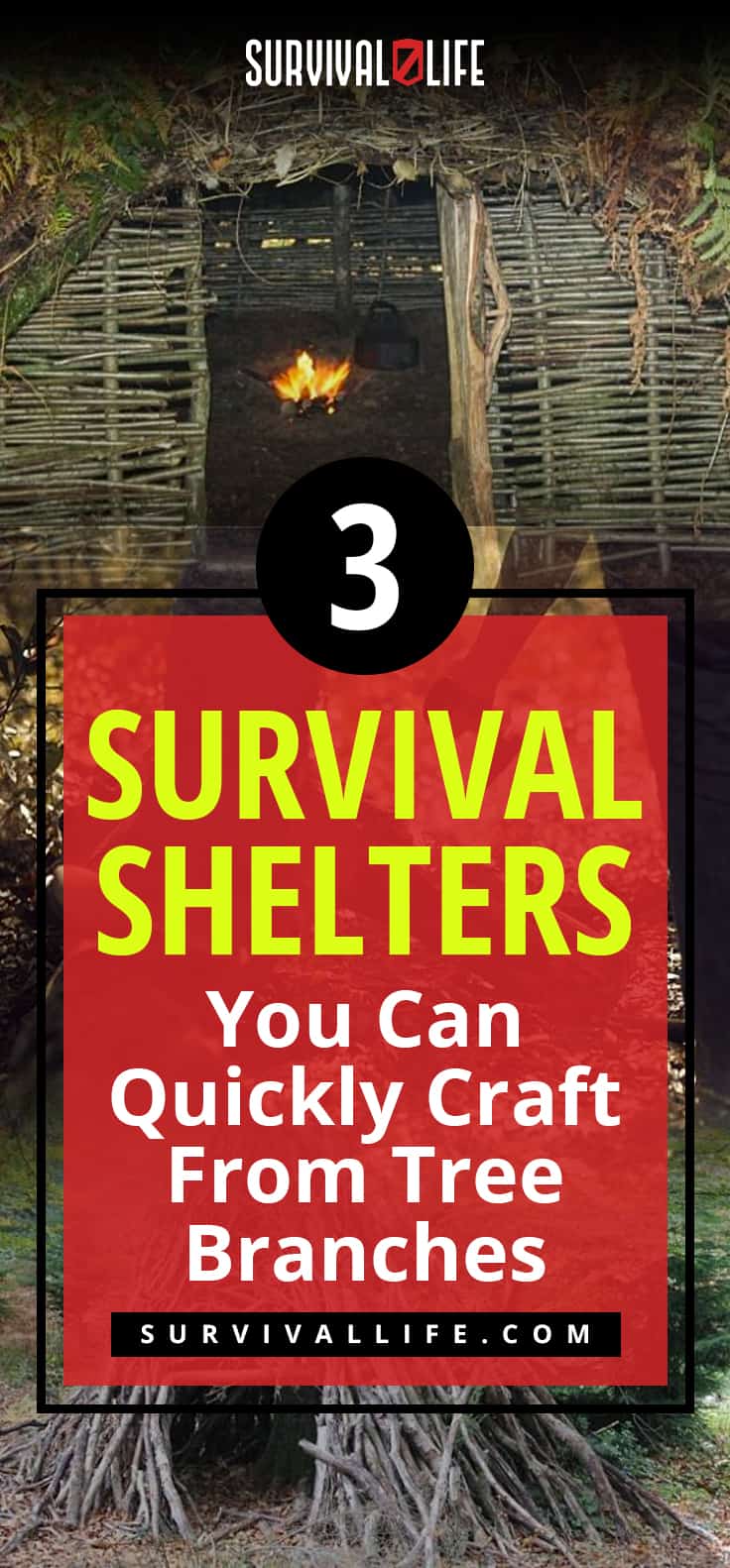 3 Survival Shelters You Can Quickly Craft From Tree Branches