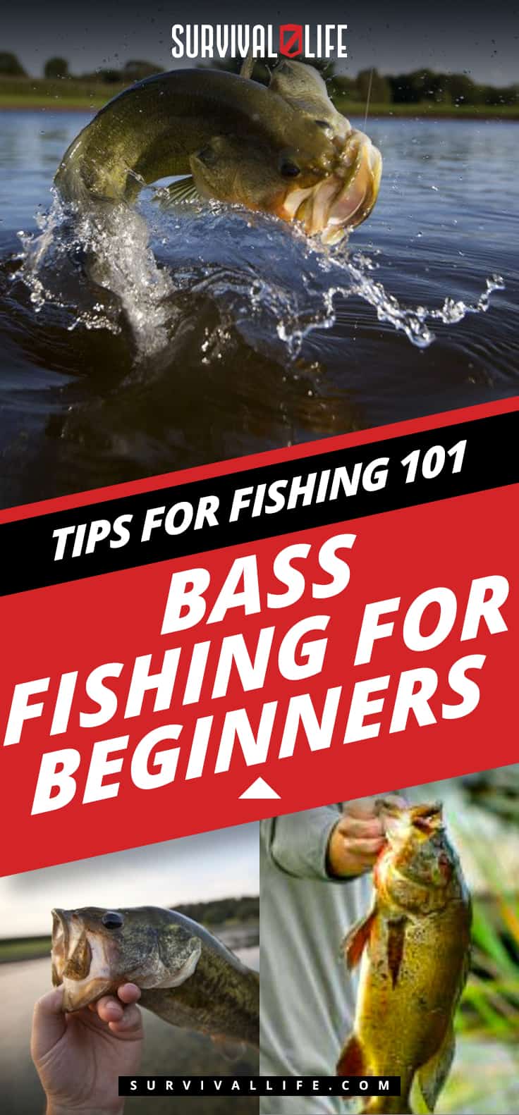 Bass Fishing for Beginners | Tips for Fishing 101
