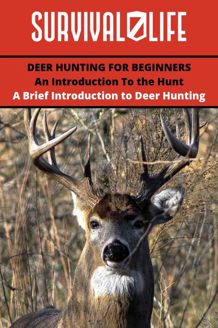 Deer Hunting for Beginners An Introduction To The Hunt
