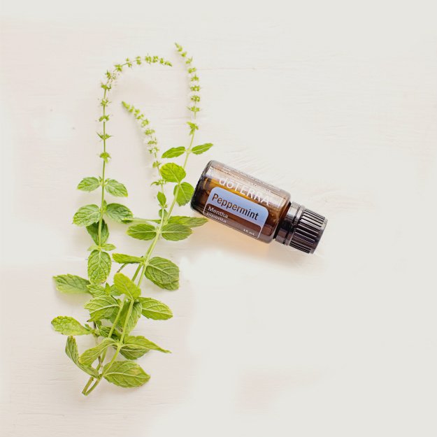 Peppermint Oil | 13 Natural Remedies For Headaches