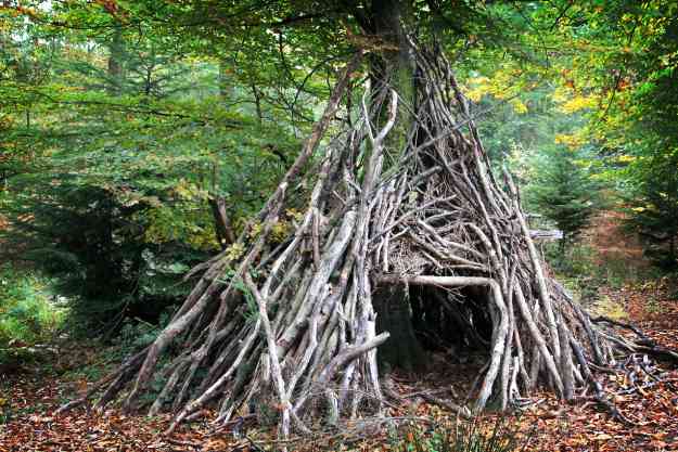 Teepee Survival Shelter | Survival Shelters You Can Quickly Craft From Tree Branches