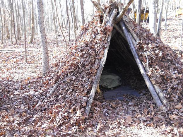 Covering Materials | How to Build A Spider Shelter | A Survival Life Guide
