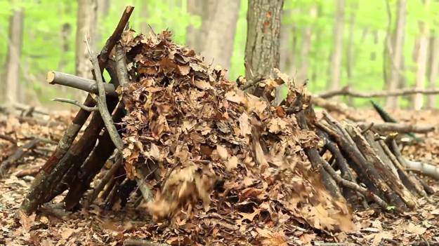 Insulation and Covering | Survival Shelters | Create Survival Shelters From Debris