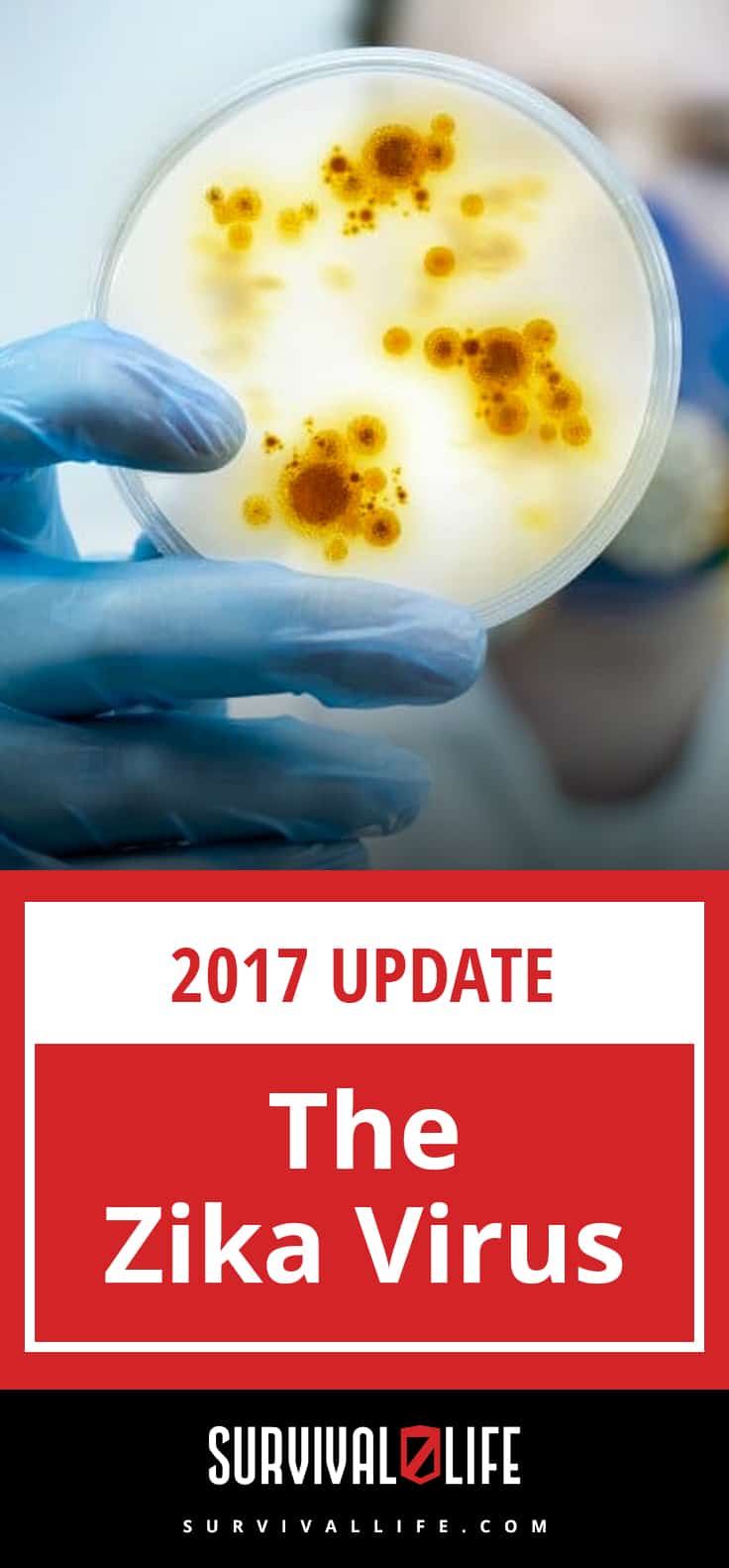 Zika Virus | The Zika Virus - 2017 Update