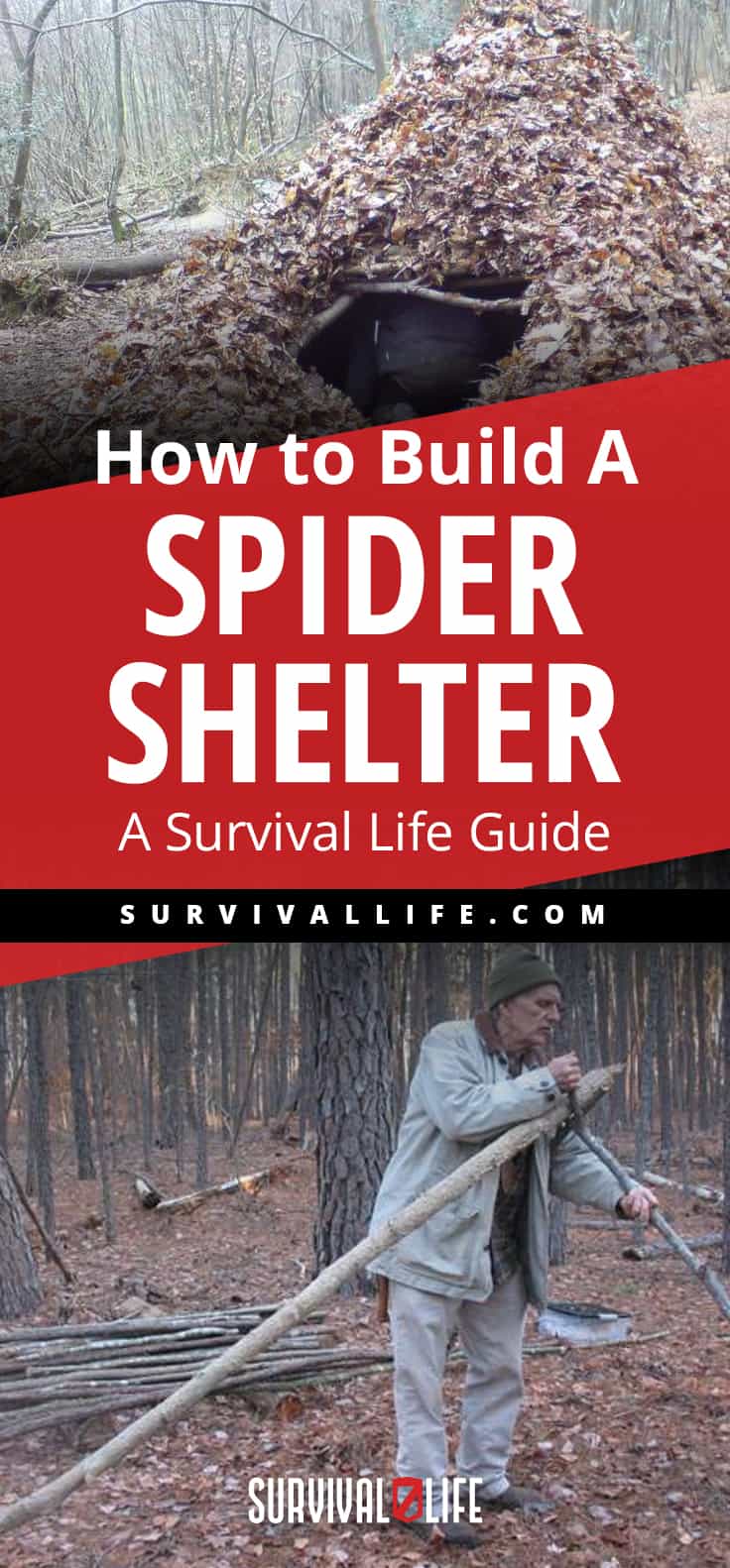 Placard | Building a Survival Shelter | How to Build A Spider Shelter | A Survival Life Guide
