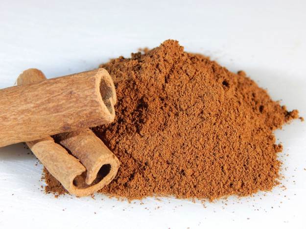 Weapon Against Infections or Viruses | Benefits Of Cinnamon For Survival