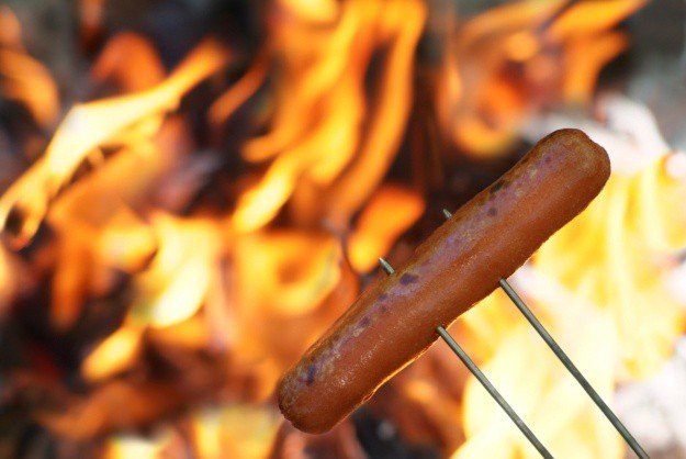Roast hotdogs on a... rake | Everyone Should Learn These 25 Ingenious Camping Tips And Hacks NOW