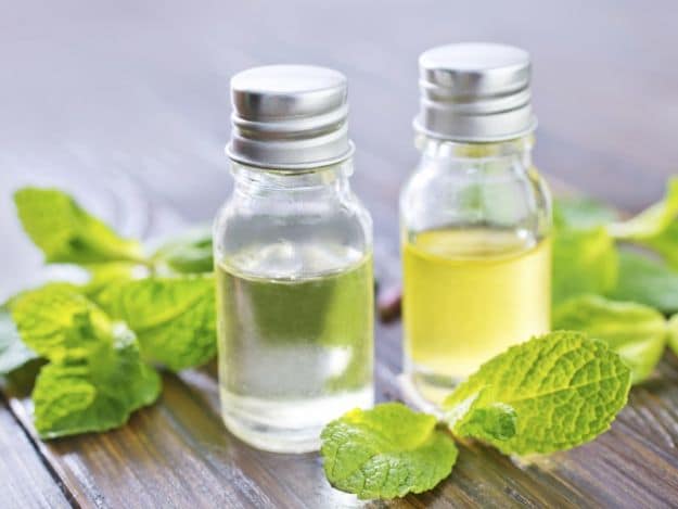 Allows Easy Breathing | Survival Uses For Peppermint Oil