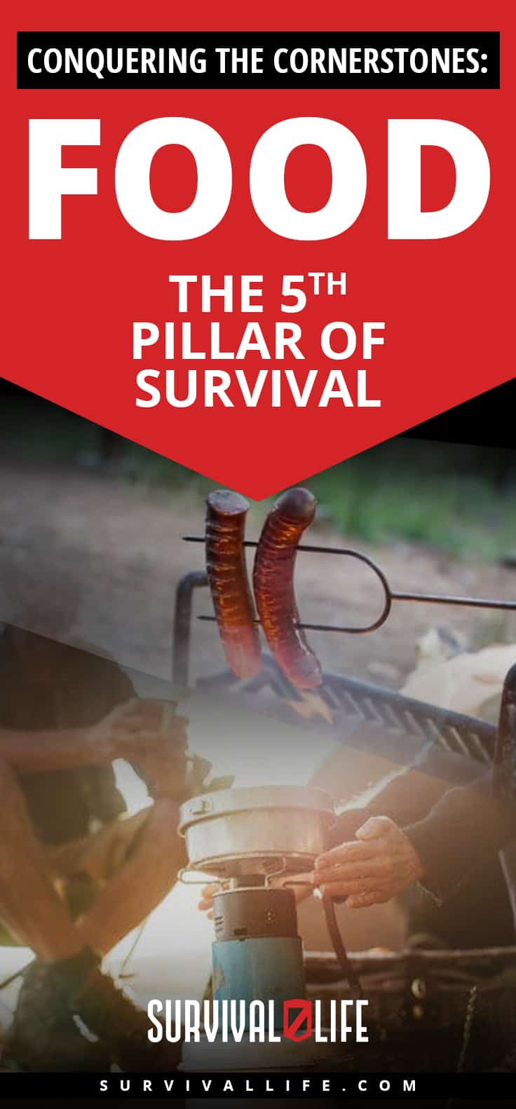 Check out Conquering the Cornerstones: Food - the 5th Pillar of Survival at https://survivallife.com/food-pillar-survival/
