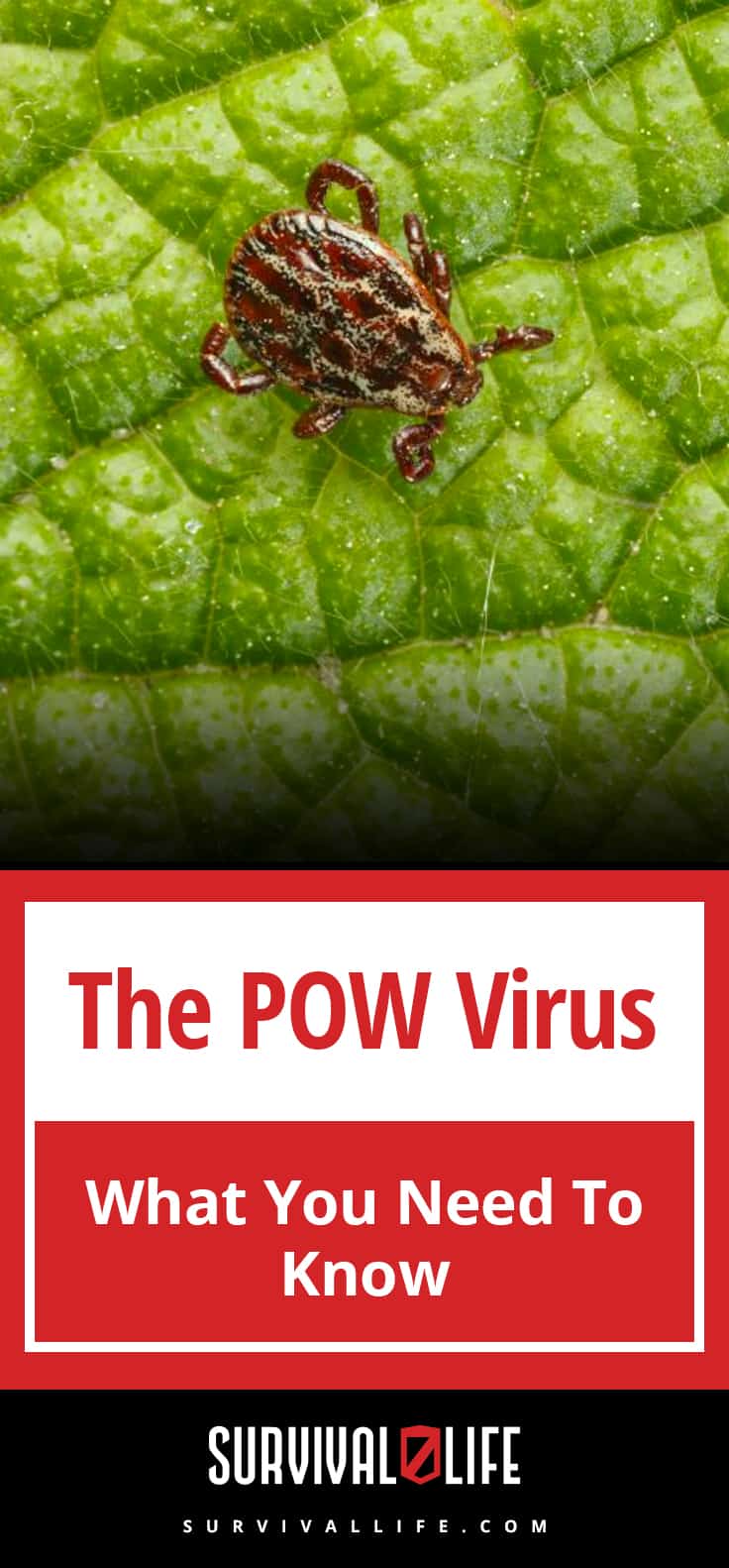 The POW Virus - What You Need To Know